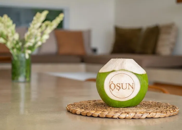 Osun Villa